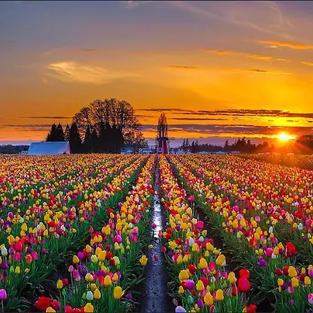 アパート Zandstudio *