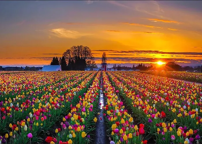 アパート Zandstudio *