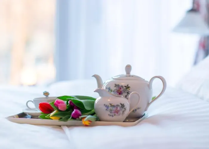 Zandstudio 알크마르